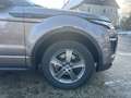 Land Rover Range Rover Evoque SE Dynamic Black Pack*Navi* Grijs - thumbnail 15