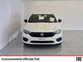 Fiat Tipo 5p 1.3 mjt street s&s 95cv my20 Weiß - thumbnail 2