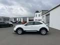 Opel Mokka-E Edition 87€ m. 20% Anzahlung CCS 3-Phasen Navi L Weiß - thumbnail 2