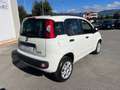 Fiat Panda 0.9 TwinAir Turbo Natural Power Lounge Bianco - thumbnail 4