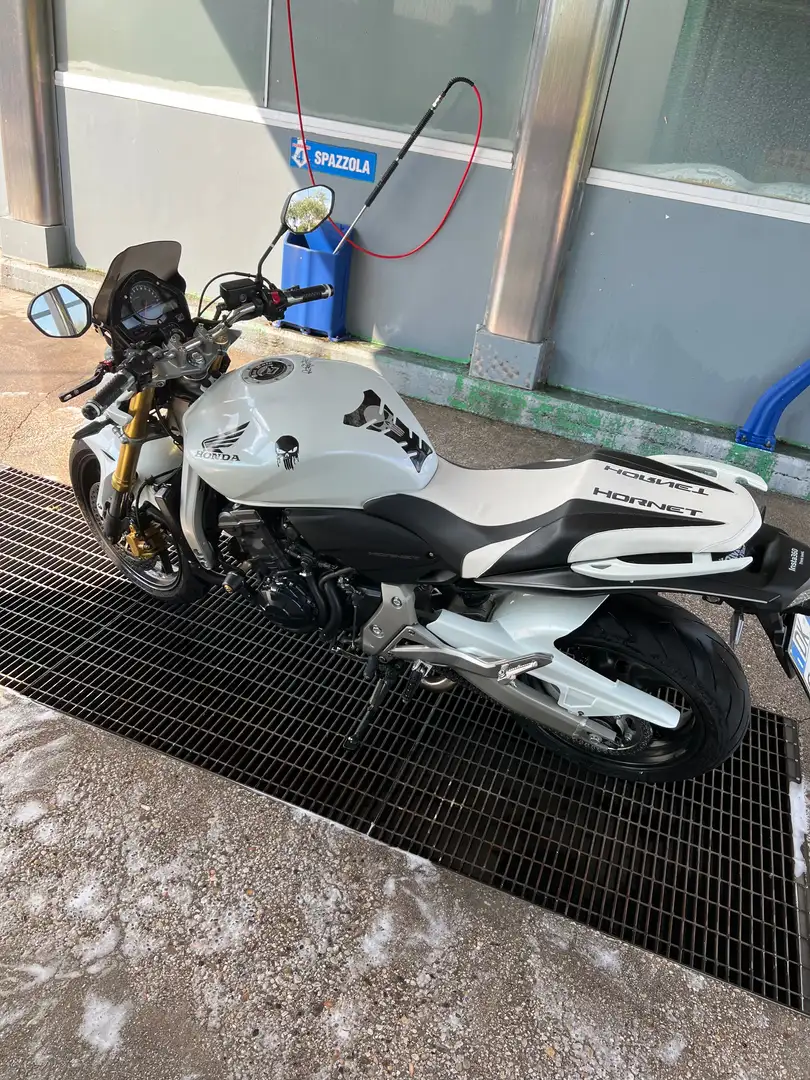 Honda CB 600 Honda Hornet 600 102 cv Bianco - 2