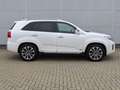 Kia Sorento 2.2l Platinum Edition 4WD GSD Leder Kamera Navi Bianco - thumbnail 4