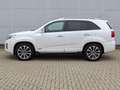 Kia Sorento 2.2l Platinum Edition 4WD GSD Leder Kamera Navi Bianco - thumbnail 3