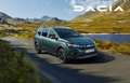 Dacia Jogger Extreme TCe 110 Vert - thumbnail 10