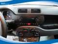 Fiat Panda Hybrid 1.0 70cv Easy EU6 Gri - thumbnail 6