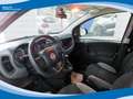 Fiat Panda Hybrid 1.0 70cv Easy EU6 Gri - thumbnail 3