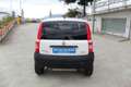Fiat Panda VAN natural power Bianco - thumbnail 5