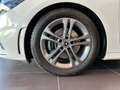 Mercedes-Benz B 200 d *AMG Line, Multibeam-LED, Panorma-SD, Anhängevor Weiß - thumbnail 13