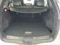 Renault Koleos 2.0dCi Zen X-Tronic 130kW Blanco - thumbnail 24