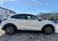 Ford Puma 1.0 EcoBoost Hybrid 125 CV PREZZO+IVA AUTOCARRO/N1 Blanc - thumbnail 5