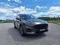 Ford Kuga 2,5 Duratec FHEV AWD ST-Line Grau - thumbnail 4