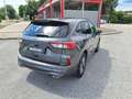 Ford Kuga 2,5 Duratec FHEV AWD ST-Line Grau - thumbnail 5