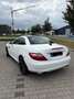 Mercedes-Benz SLK 200 SLK 200 (BlueEFFICIENCY) Weiß - thumbnail 3