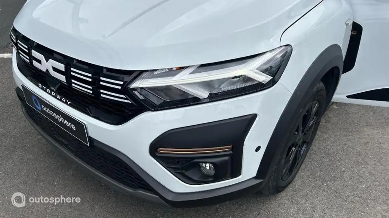 Dacia Sandero Sandero Stepway — photo 17