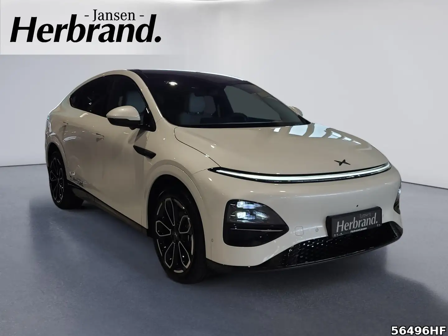 Xpeng G6 AWD Performance 487 PS AT Weiß - 2