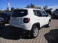Jeep Renegade 1.0 120Cv Limited - CarPlay/ACC/Sensori Weiß - thumbnail 3