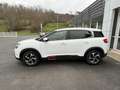 Citroen C5 Aircross C5 Aircross 1.5 BlueHDi - 130 - BV EAT8  Business + - CARPLAY + CARMERA AR Weiß - thumbnail 4