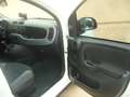 Fiat Panda 1.0 hibrid  city live Bianco - thumbnail 13