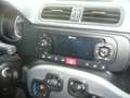 Fiat Panda 1.0 hibrid  city live Bianco - thumbnail 11