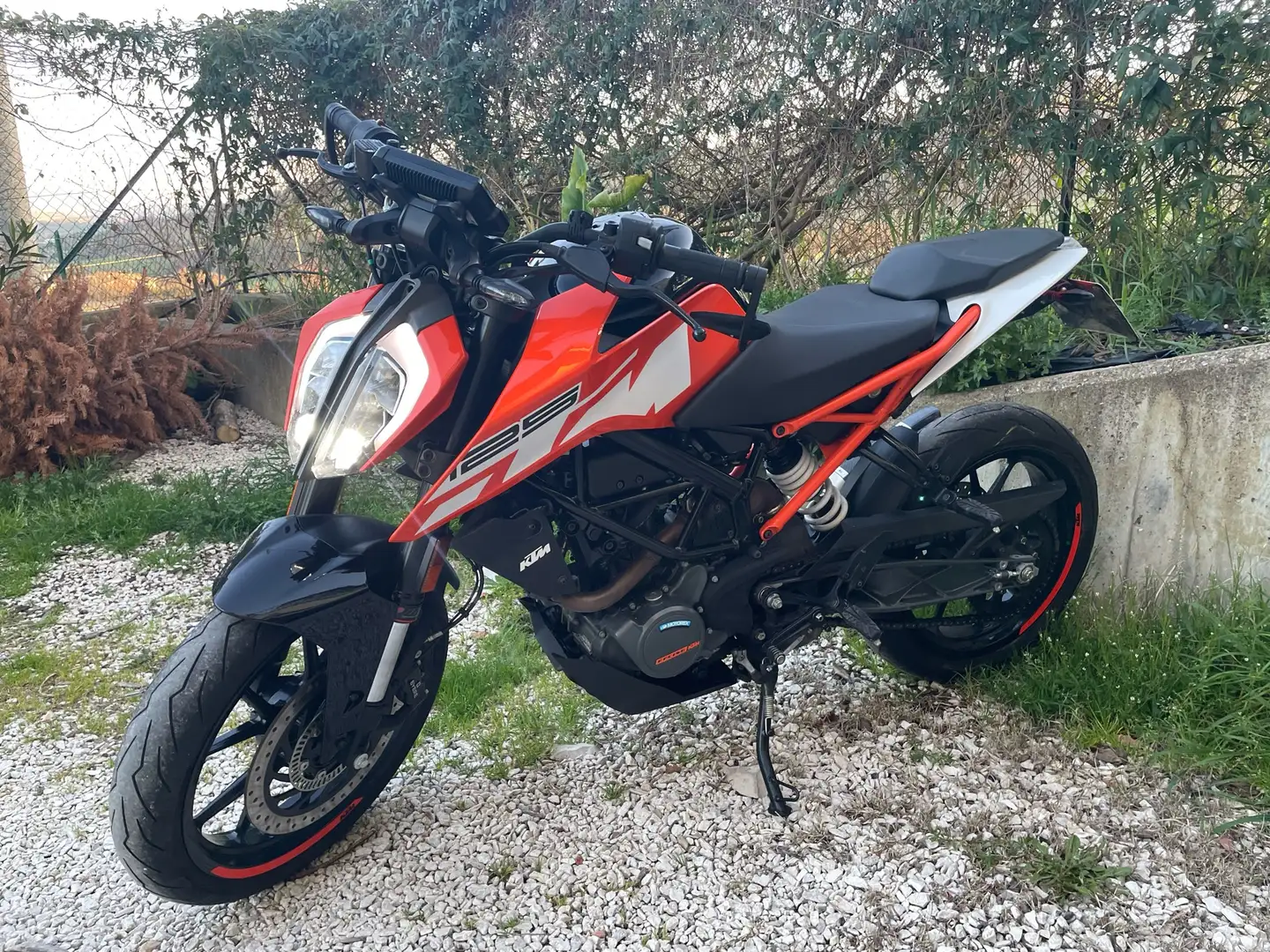 KTM 125 Duke - 1