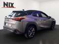 Lexus UX 300h 2.0 Hybrid F-Sport Design LED SHZ Plateado - thumbnail 4