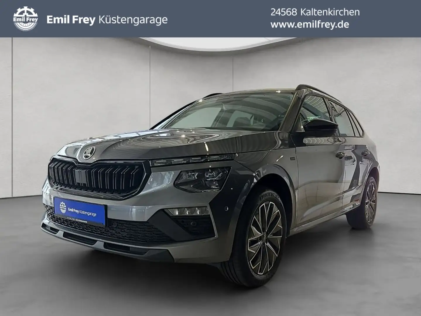 Skoda Kamiq Tour 1.0TSI DSG Navi Sitzhzg. schwenkb. AHK Grau - 1
