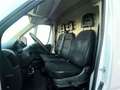 Citroen Jumper BlueHDi 103KW (140CV) Furgón 35L2H2 Blanco - thumbnail 12