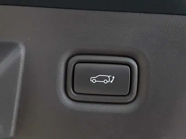 Hyundai Ioniq view 19