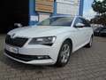 Skoda Superb Style Business-Paket Columbus Weiß - thumbnail 1