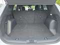 Ford Kuga 2,0 EcoBlue ST-Line AWD Aut. Weiß - thumbnail 13