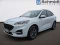 Ford Kuga 2,0 EcoBlue ST-Line AWD Aut. Weiß - thumbnail 2