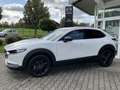 Mazda CX-30 2.0L e-SKYACTIV X 186 PS AT HOMURA Blanc - thumbnail 11