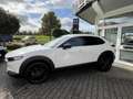 Mazda CX-30 2.0L e-SKYACTIV X 186 PS AT HOMURA Blanc - thumbnail 3