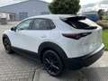 Mazda CX-30 2.0L e-SKYACTIV X 186 PS AT HOMURA Blanc - thumbnail 12