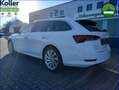 Skoda Octavia Combi 1.4 TSI iV Panorama Standheizung Weiß - thumbnail 22