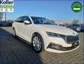 Skoda Octavia Combi 1.4 TSI iV Panorama Standheizung Weiß - thumbnail 4