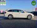 Skoda Octavia Combi 1.4 TSI iV Panorama Standheizung Weiß - thumbnail 5