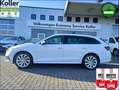 Skoda Octavia Combi 1.4 TSI iV Panorama Standheizung Weiß - thumbnail 1