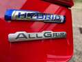 Suzuki Ignis 1.2 Hybrid 4x4 All Grip Rosso - thumbnail 11