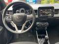 Suzuki Ignis 1.2 Hybrid 4x4 All Grip Rosso - thumbnail 5