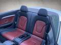 Audi S5 3.0 TFSI quattro S-Line S-Tronic Xenon°Navi°DEKRA° Weiß - thumbnail 16