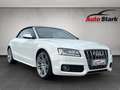 Audi S5 3.0 TFSI quattro S-Line S-Tronic Xenon°Navi°DEKRA° Weiß - thumbnail 2
