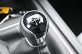 SEAT Leon SP 1,0 TSI Austria Edition Grau - thumbnail 10