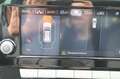 SEAT Leon SP 1,0 TSI Austria Edition Grau - thumbnail 25