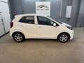 Kia Picanto 1,0 MPI *1-Besitz*Sitz+Lenkradheizung* Blanc - thumbnail 4