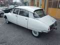 Citroen DS FD 20 ASI -- FINANZIABILE ANCHE TOTALMENTE - thumbnail 4