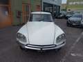 Citroen DS FD 20 ASI -- FINANZIABILE ANCHE TOTALMENTE - thumbnail 2