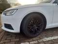 Audi A4 Avant 2.0 TDI sport Blanc - thumbnail 3