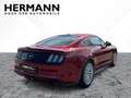 Ford Mustang 5.0 Ti-VCT V8 Fastback GT CAM*LED*NAVI Rot - thumbnail 4