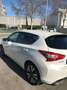 Nissan Pulsar Pulsar 1.5 dCi Tekna Tekna Blanco - thumbnail 17